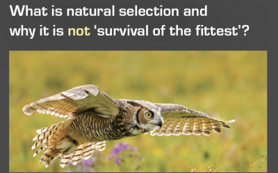 What is Natural Selection (and why it is not 'survival of the fittest')?